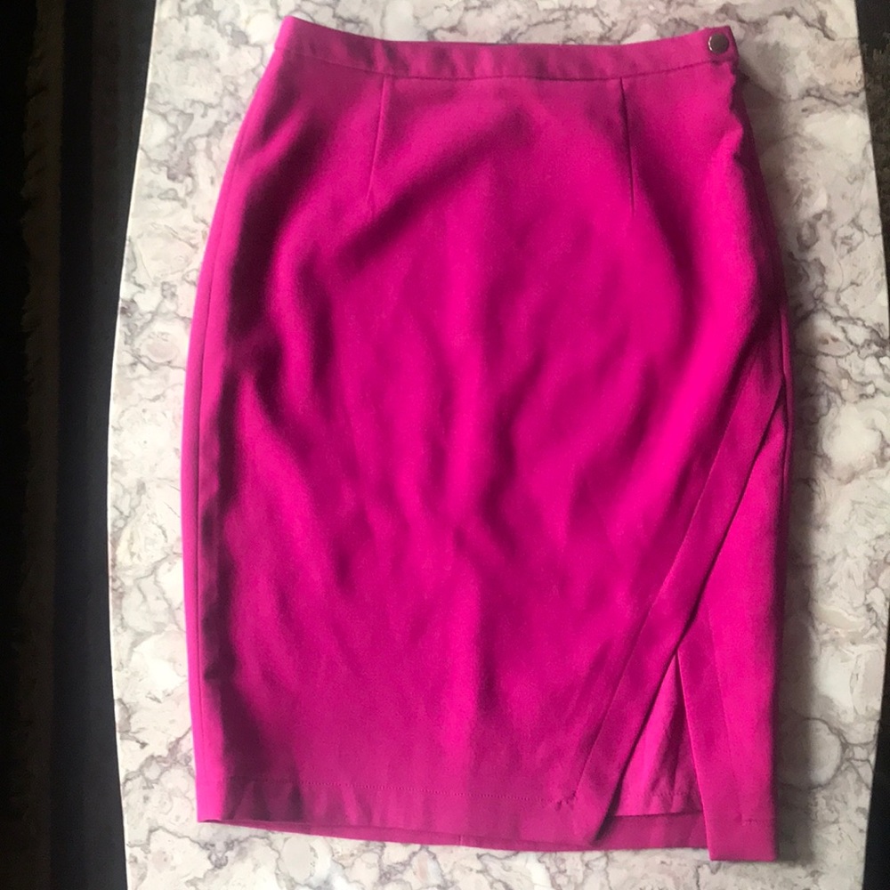The Limited Stylish Pencil Skirt